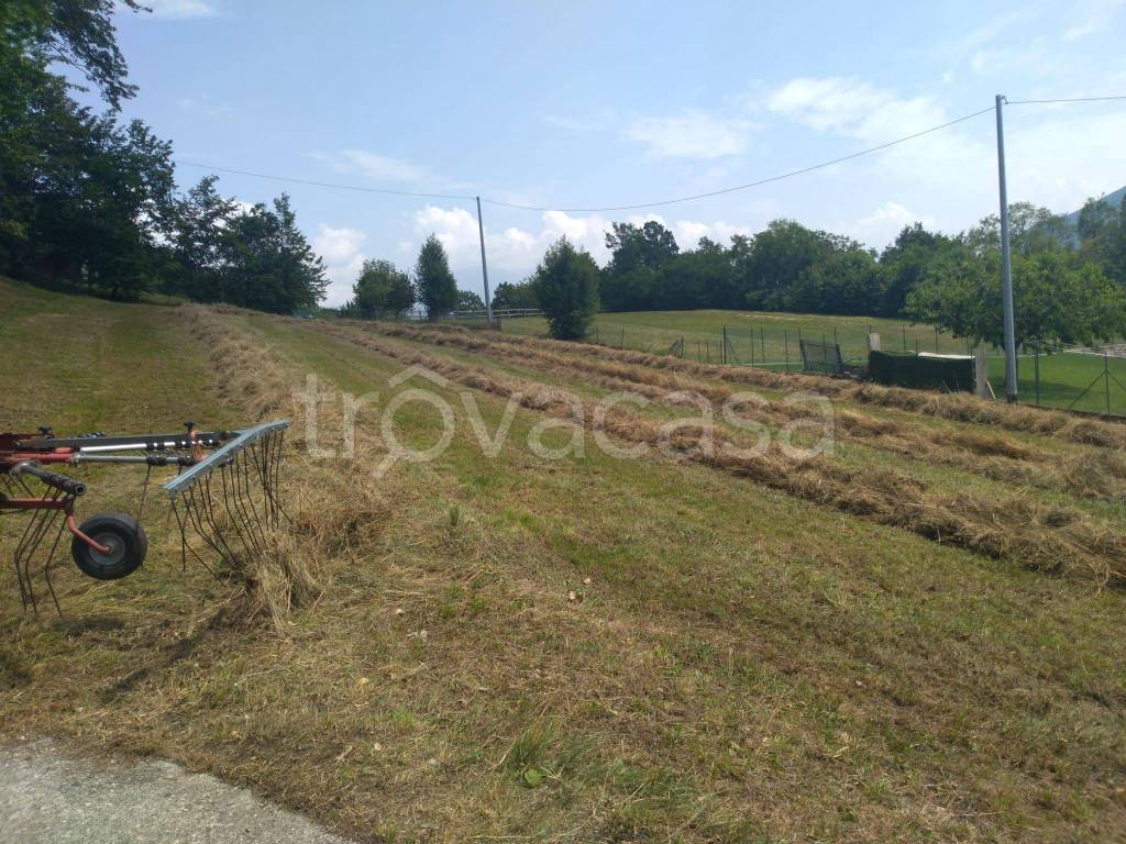 Terreno Agricolo in vendita a Endine Gaiano via Fanovo, 22