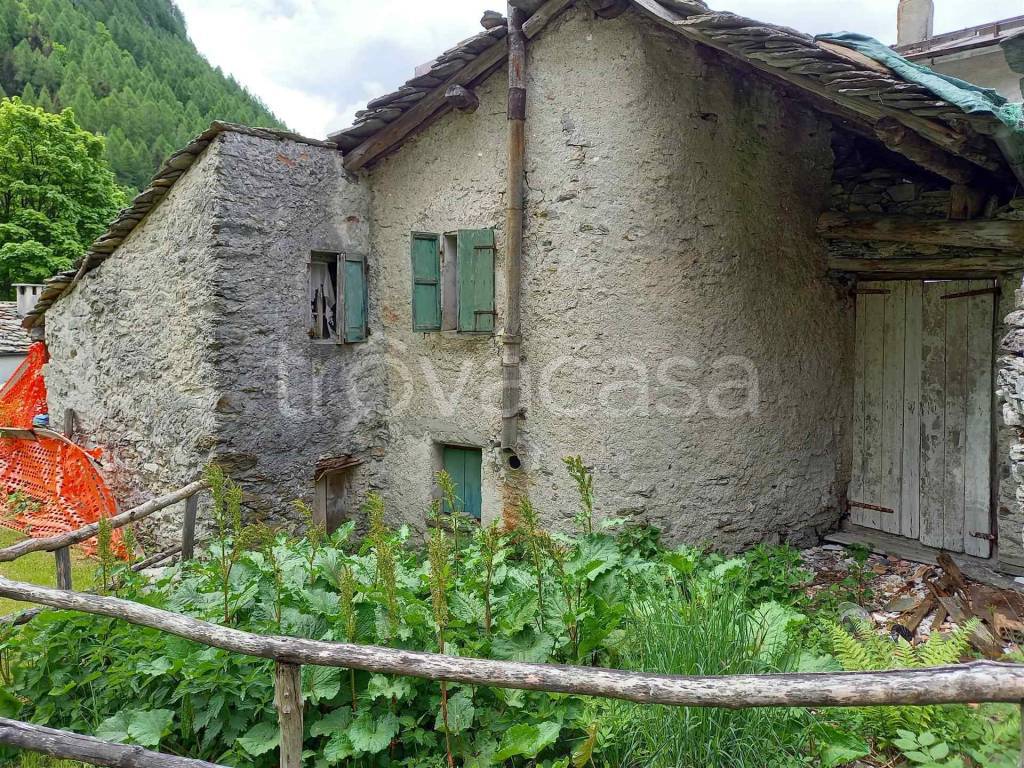 immagine annuncio 10 di 11