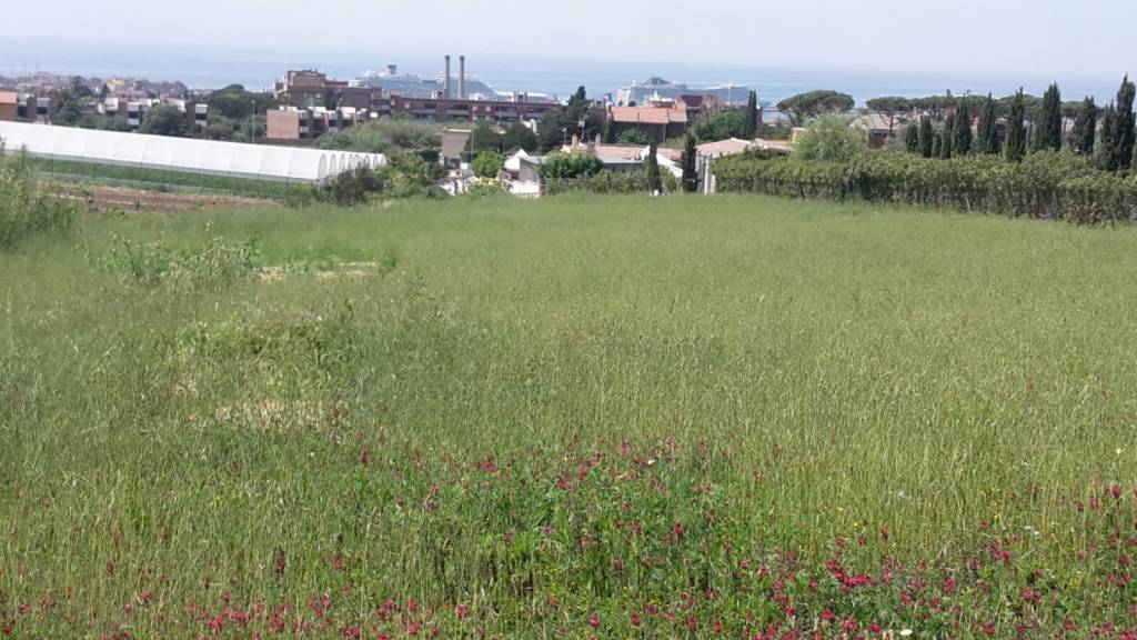 Terreno Agricolo in vendita a Civitavecchia via Don Lorenzo Milani