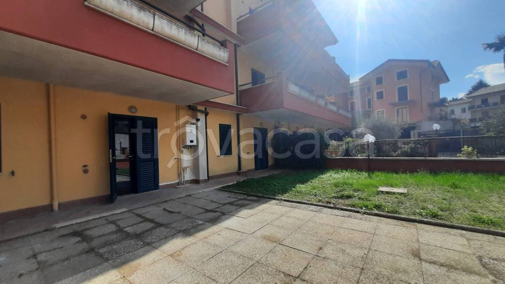 immagine annuncio 5 di 12
