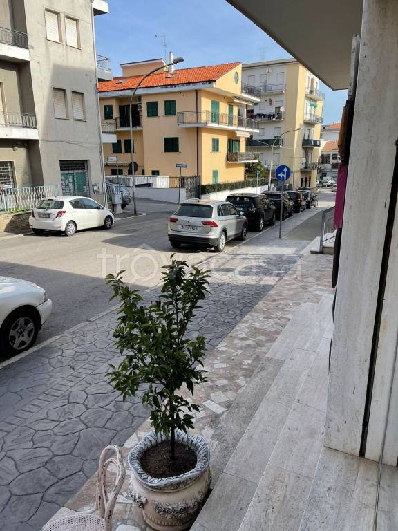 immagine annuncio 3 di 14