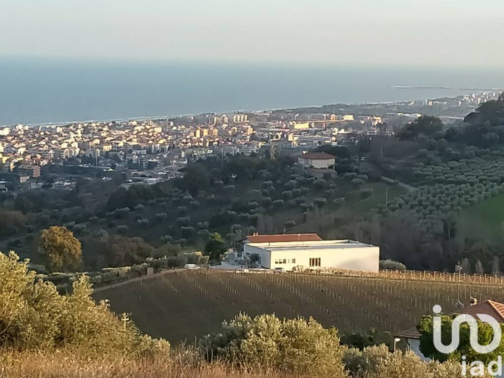 immagine annuncio 1 di 6