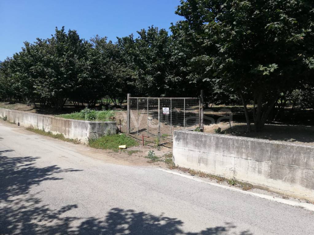 immagine annuncio 2 di 7