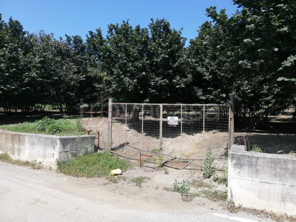 immagine annuncio 3 di 7