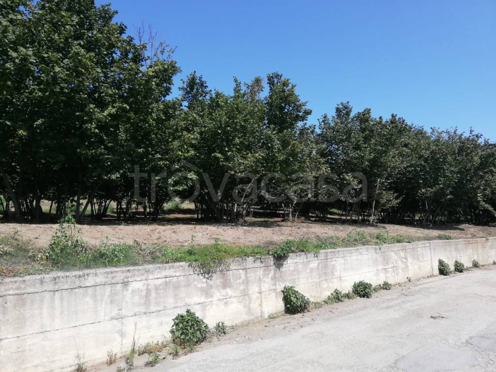 immagine annuncio 6 di 7