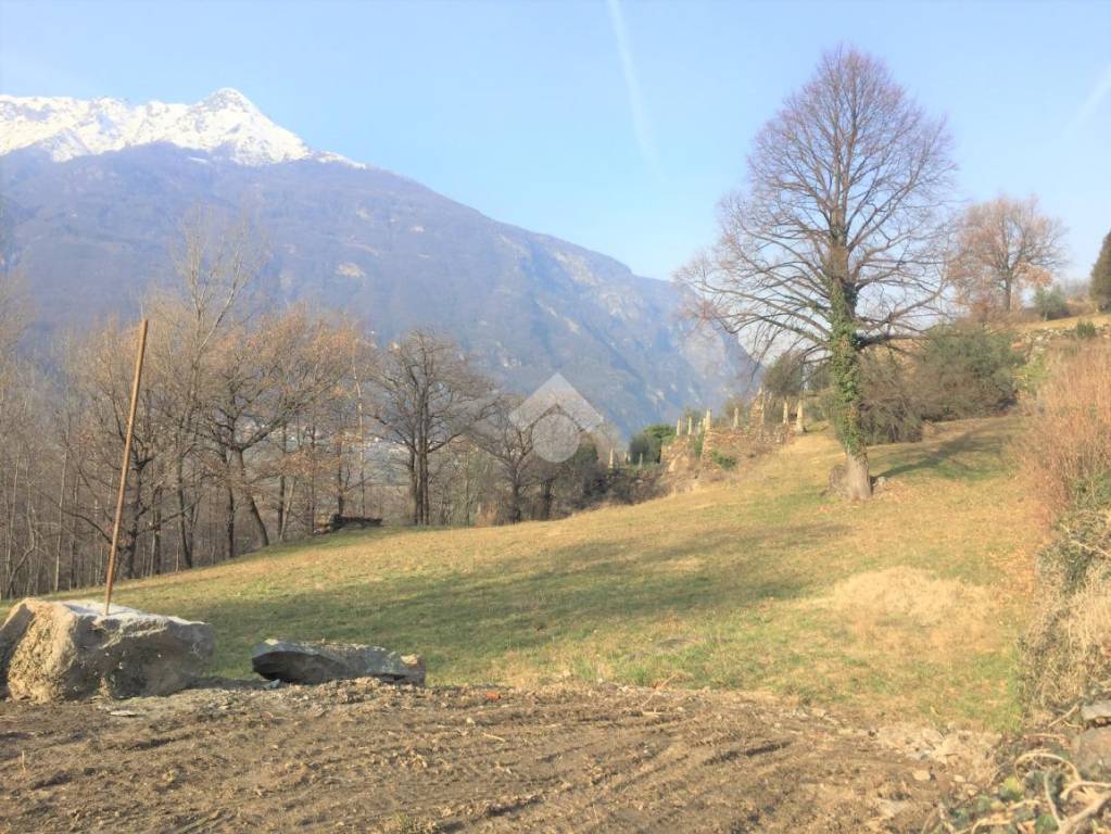 immagine annuncio 6 di 7