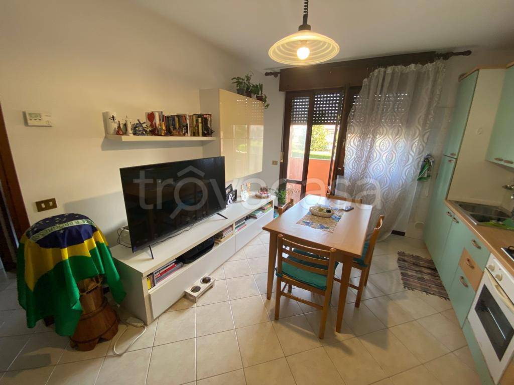 immagine annuncio 5 di 14