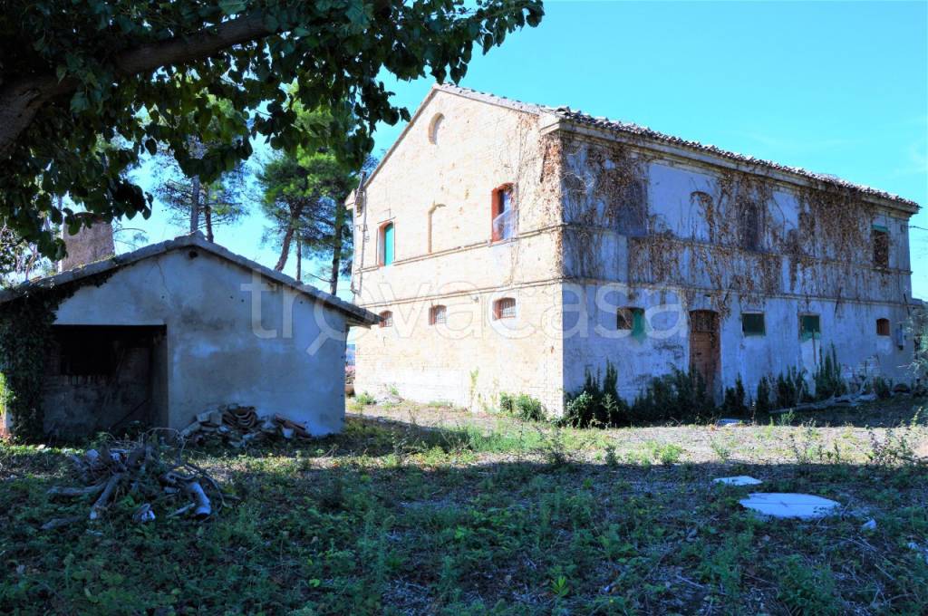 immagine annuncio 5 di 6