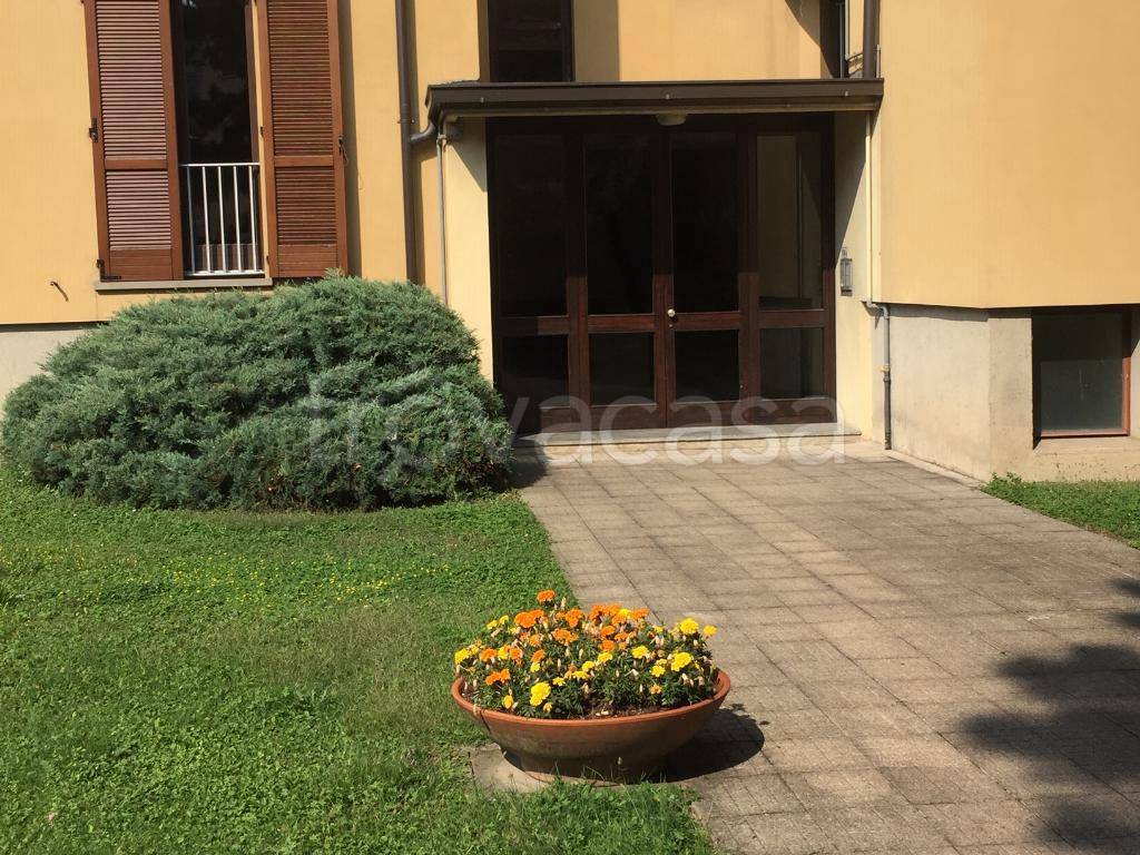 immagine annuncio 3 di 11