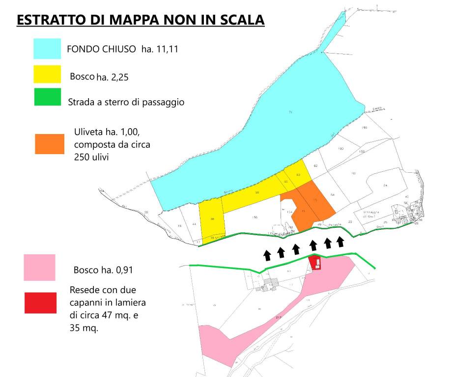 immagine annuncio 6 di 8