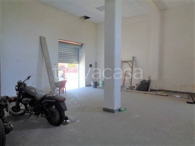 immagine annuncio 5 di 14