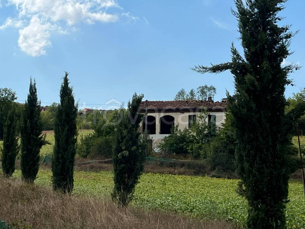 immagine annuncio 3 di 7