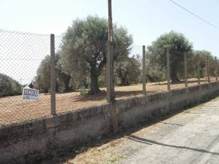 Terreno residenziale in vendita a bovalino contrada rosa