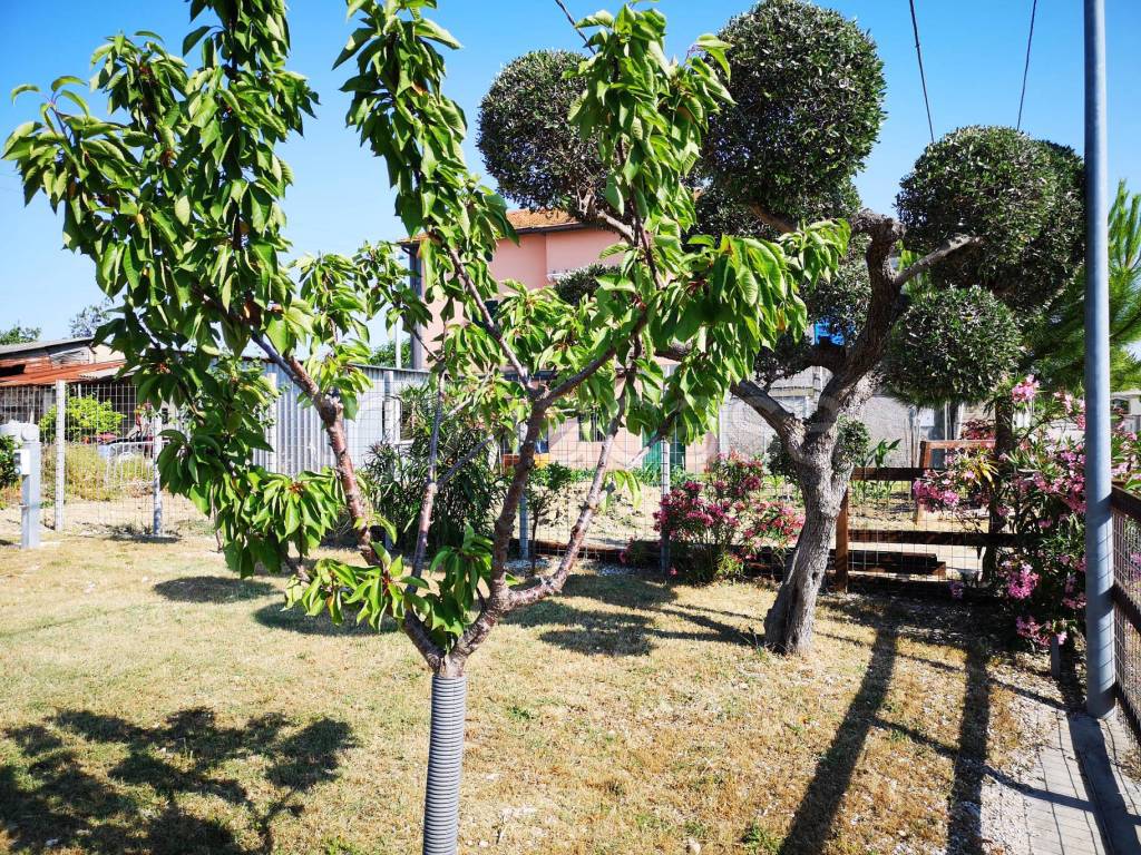 immagine annuncio 7 di 8