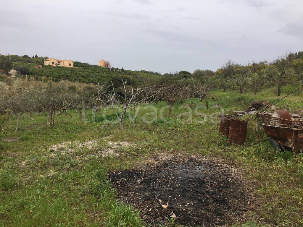 immagine annuncio 12 di 13