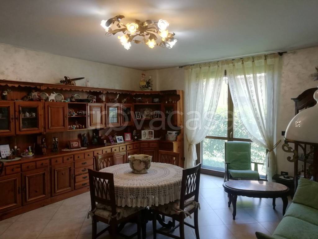 immagine annuncio 9 di 15