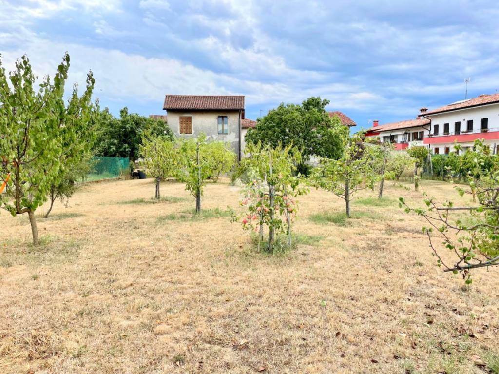 immagine annuncio 8 di 12