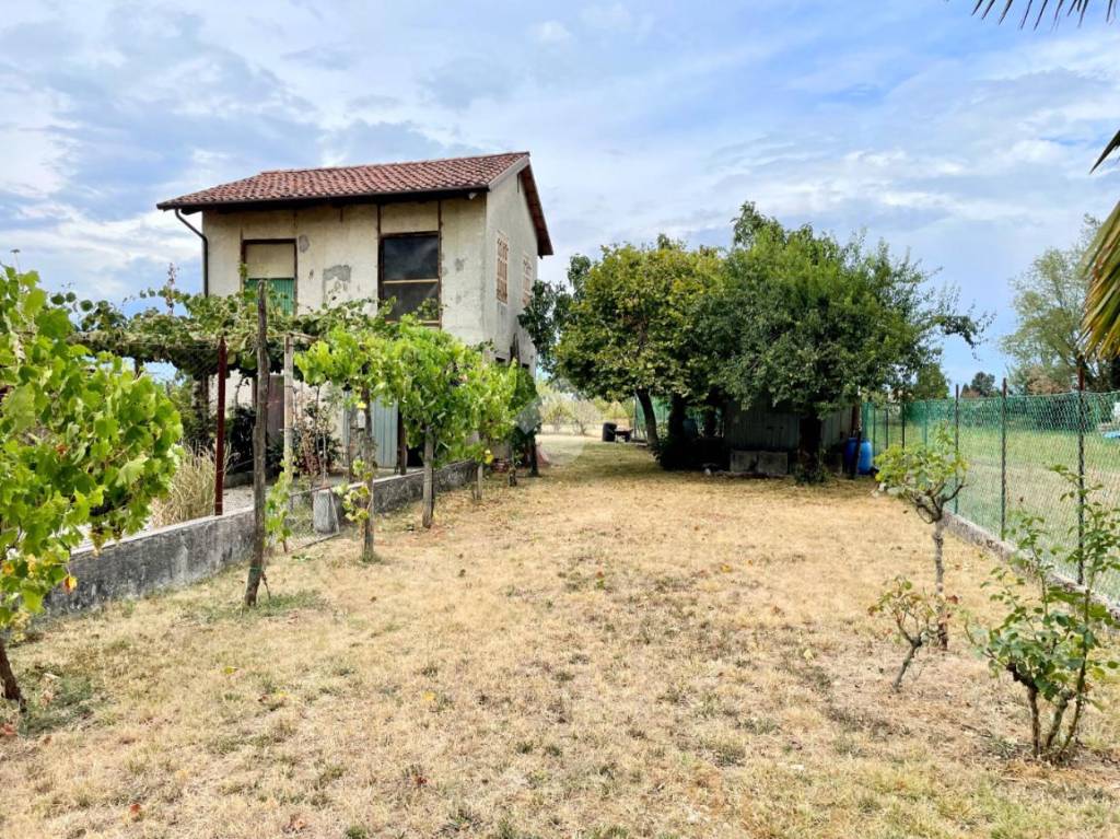 immagine annuncio 11 di 12