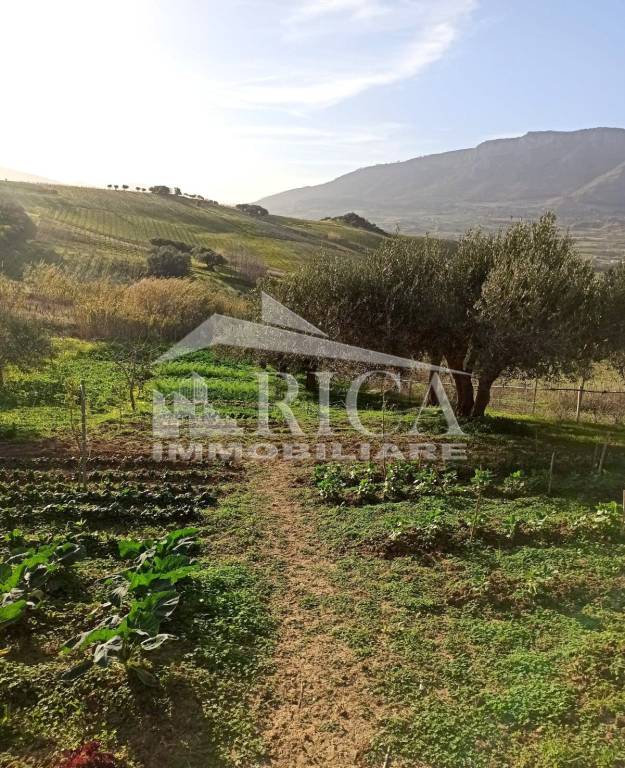 Terreno Agricolo in vendita ad Alcamo ss113