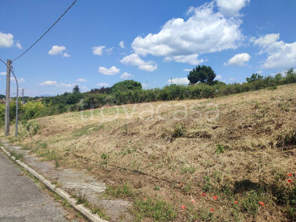 immagine annuncio 4 di 9