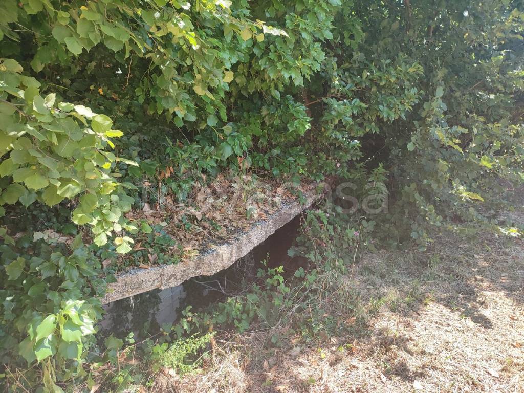 immagine annuncio 5 di 8