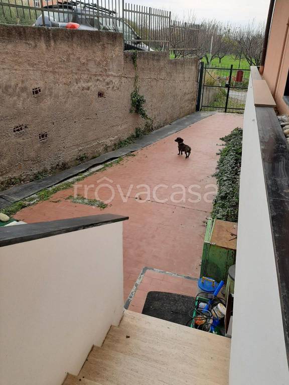 immagine annuncio 4 di 6