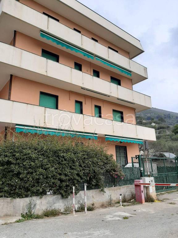 immagine annuncio 5 di 6