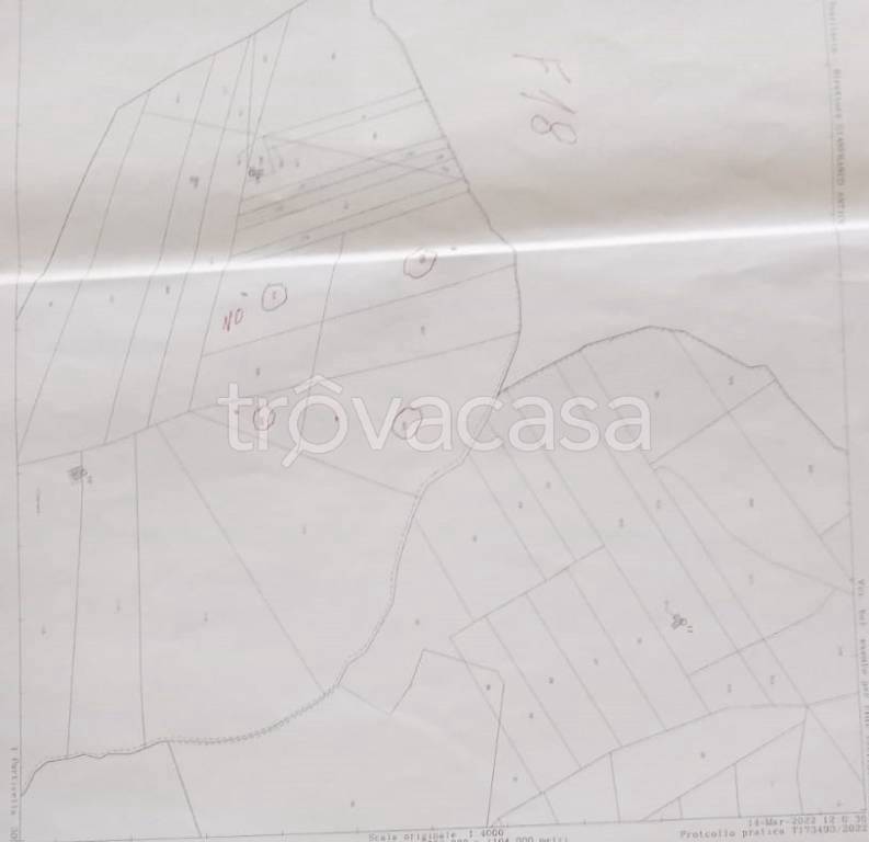immagine annuncio 4 di 6