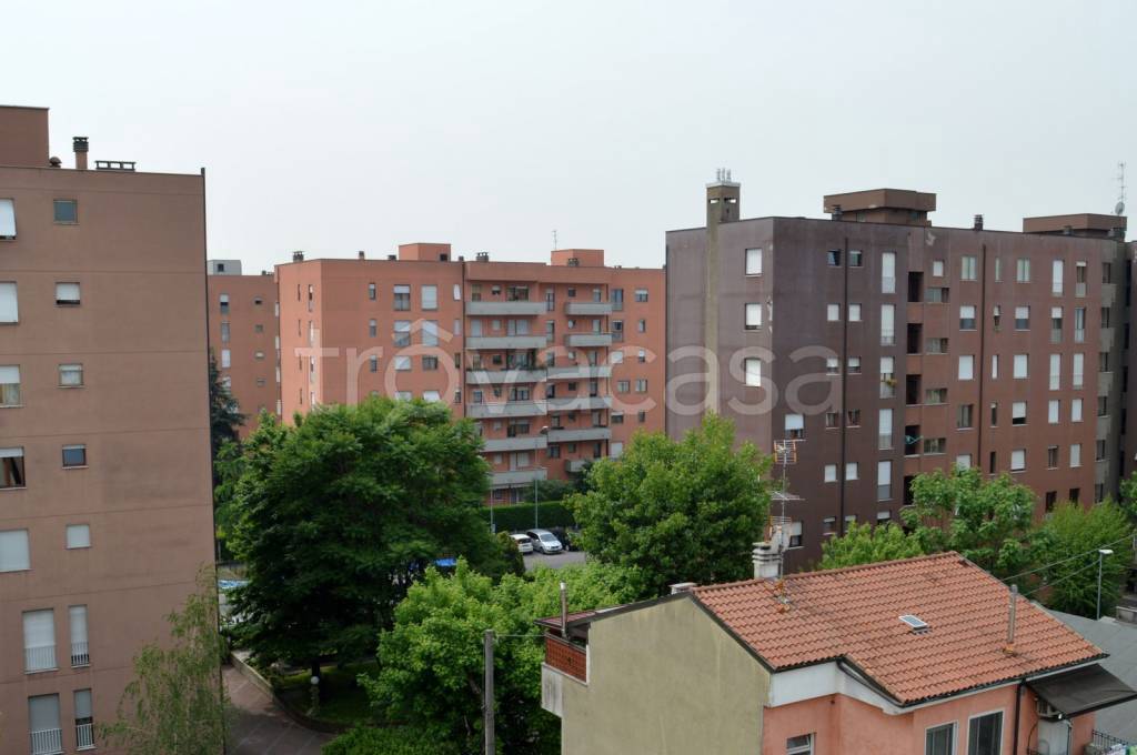 immagine annuncio 8 di 13