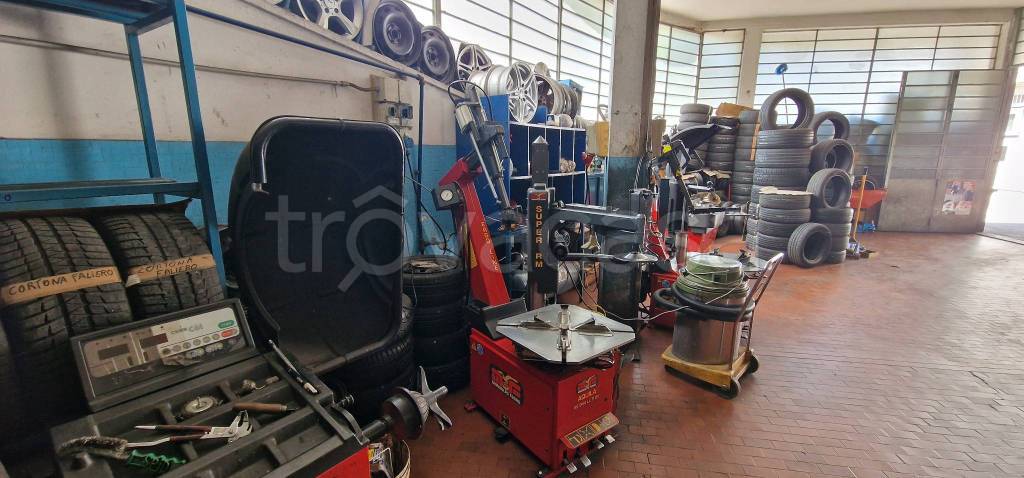 immagine annuncio 6 di 15