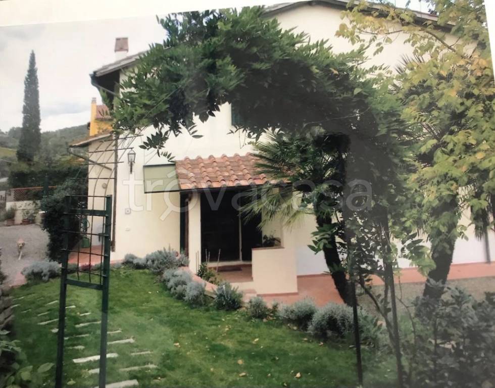 immagine annuncio 4 di 12