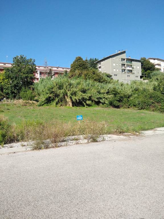 immagine annuncio 1 di 6