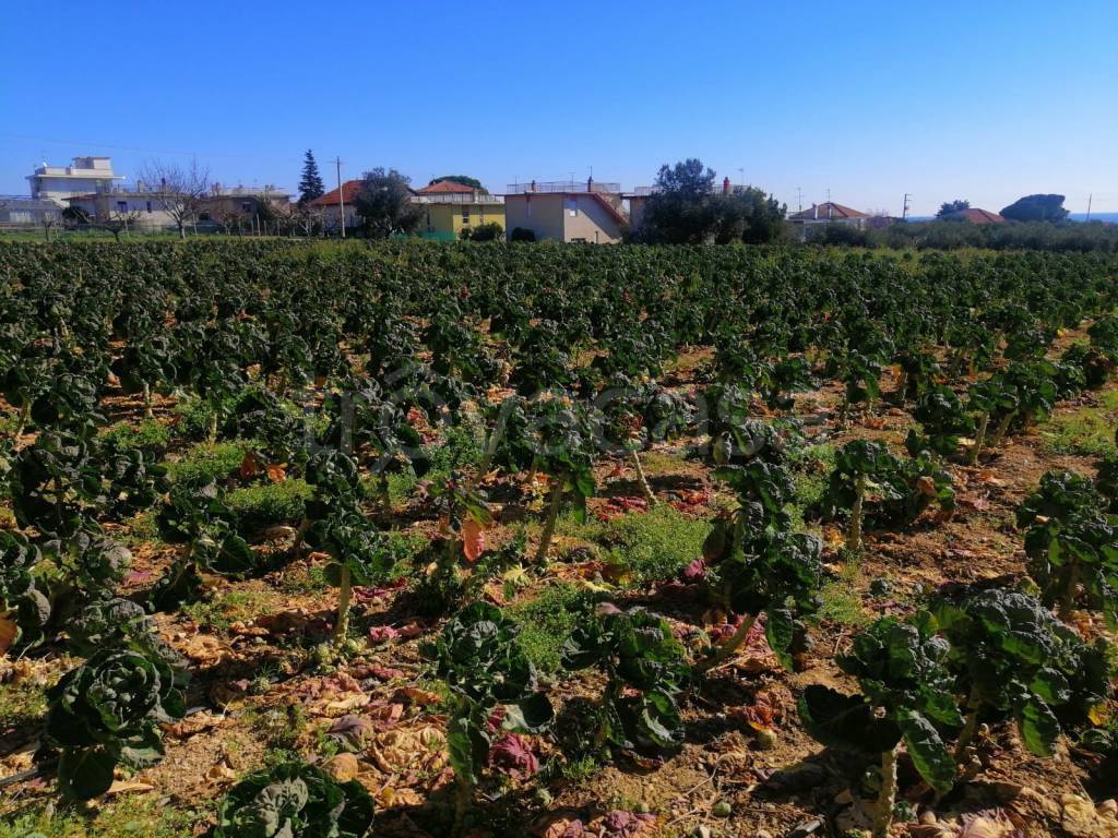 Terreno Agricolo in vendita a Ceriale via Campore