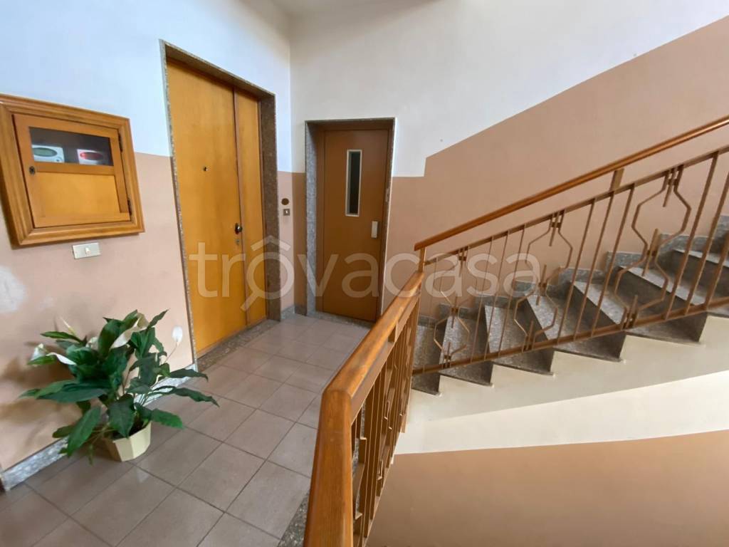 Appartamento in in vendita da privato a Bitonto via Giorgio La Pira, 49