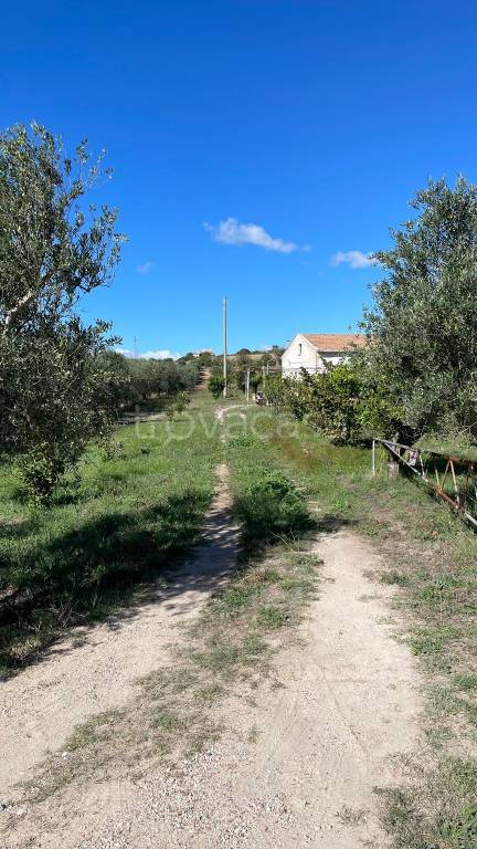 Terreno Agricolo in vendita a Matera strada Provinciale Fondo Valle Bradano