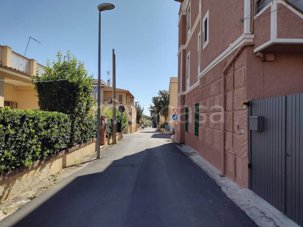 immagine annuncio 1 di 14