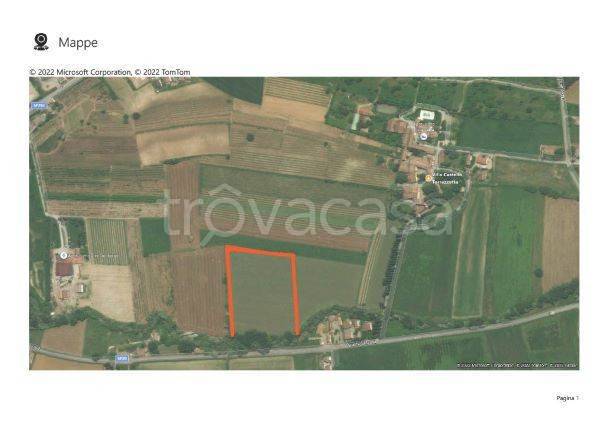 Terreno Agricolo in vendita a Borgo Priolo località Torrazzetta