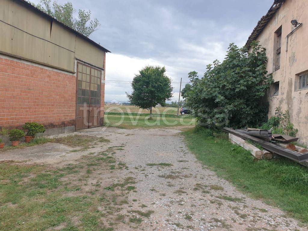 immagine annuncio 5 di 9