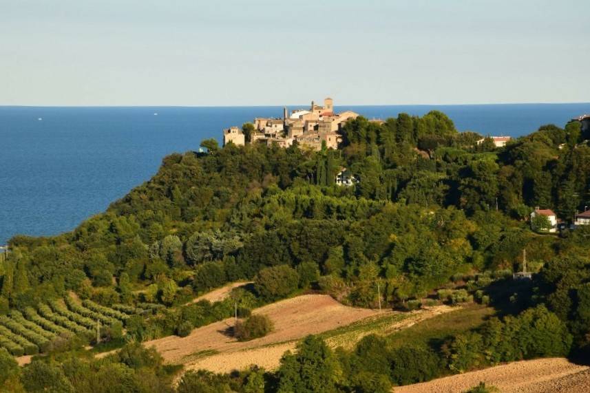 immagine annuncio 10 di 13