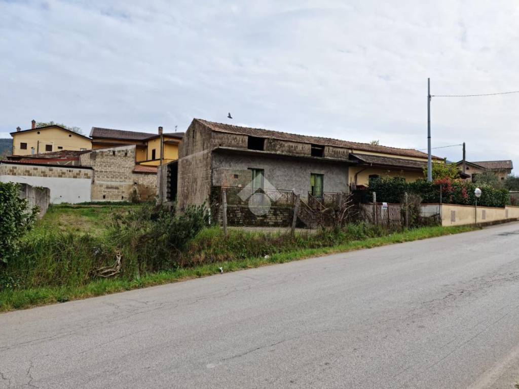 immagine annuncio 4 di 11