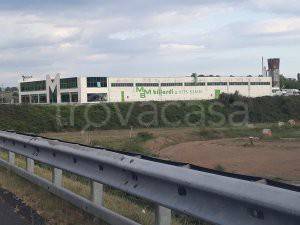 immagine annuncio 2 di 8