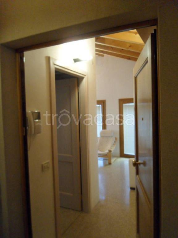 Appartamento in in affitto da privato a Bassano del Grappa via Marinali, 6