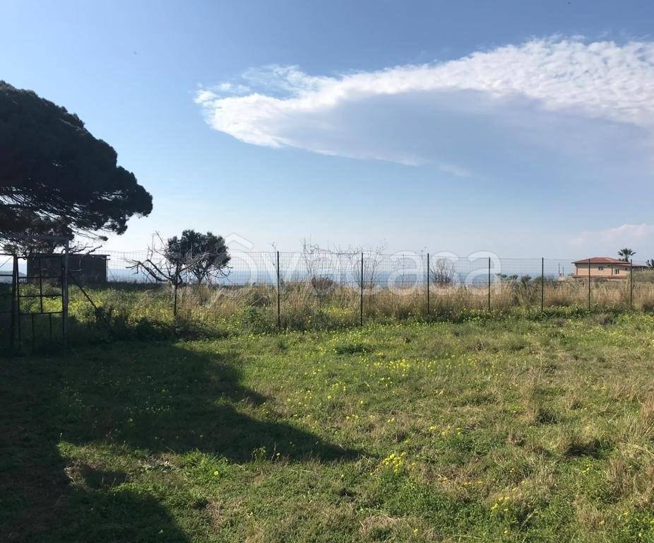 Terreno Agricolo in vendita a Reggio di Calabria via Concessa