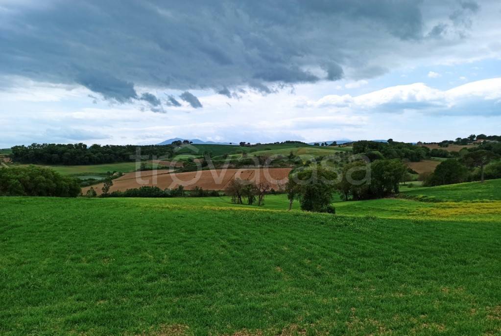 Terreno Agricolo in vendita a Castiglione del Lago