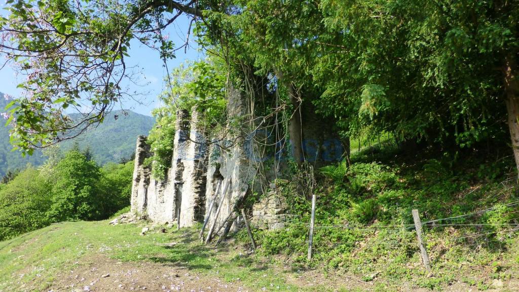immagine annuncio 1 di 14