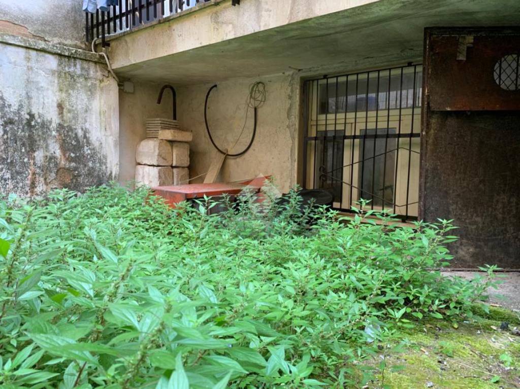 immagine annuncio 12 di 13