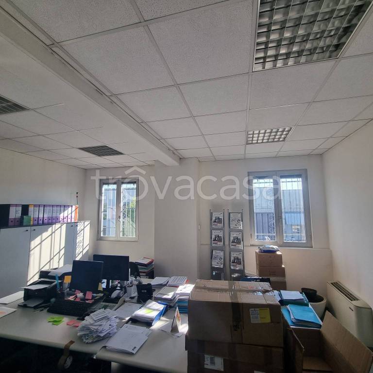 immagine annuncio 13 di 14