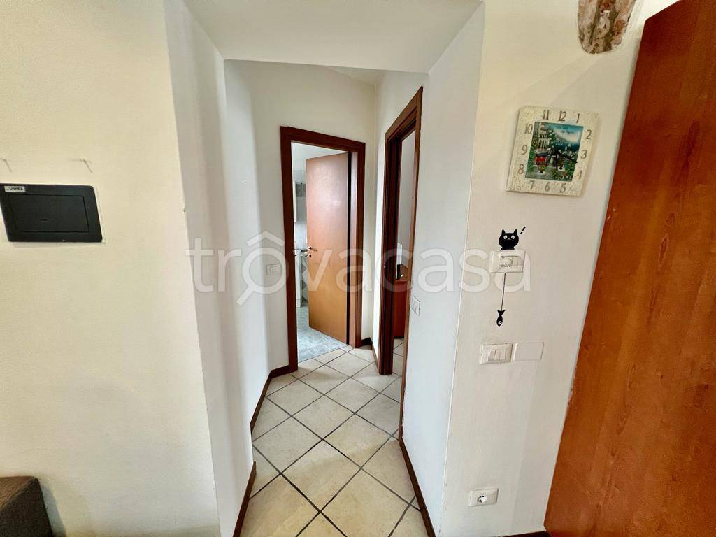 immagine annuncio 5 di 14