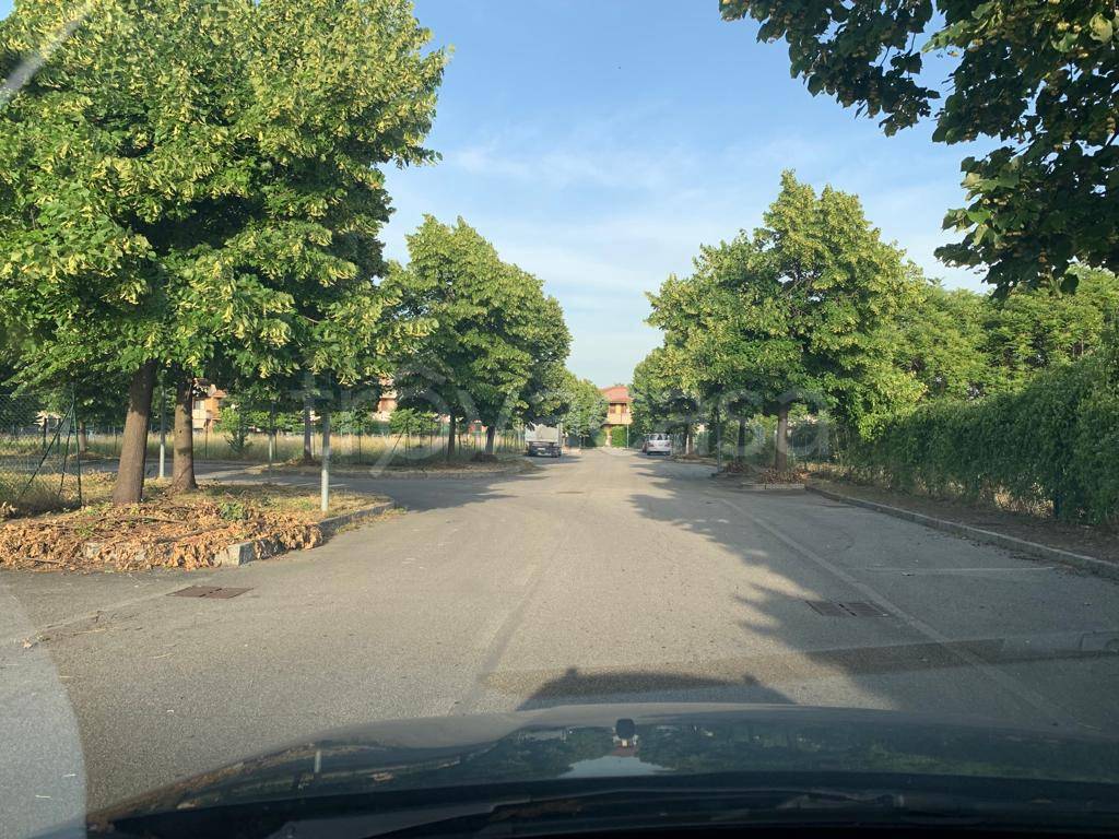 immagine annuncio 1 di 6