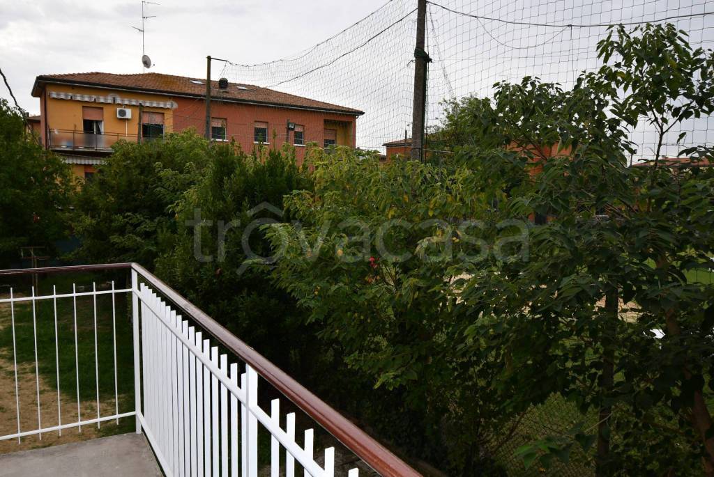 immagine annuncio 11 di 14